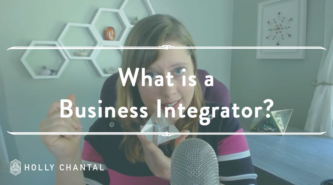 What is a Business Integrator?
