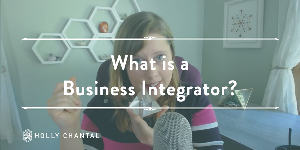 What is a Business Integrator?