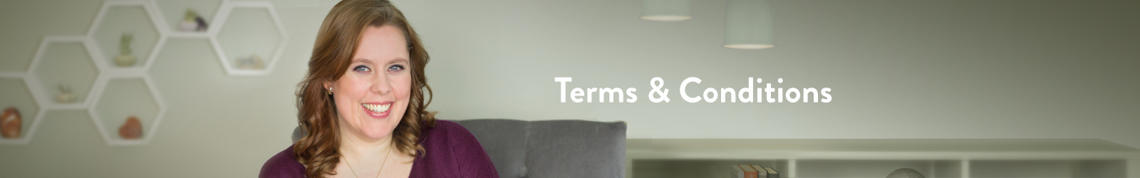 terms and conditions-header
